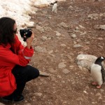 rencontre avec un ami pingouin en Antarctique rencontre avec un ami pingouin en Antarctique