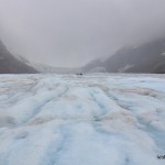 Ice trekking dans les Rocheuses sur le glacier Athabasca