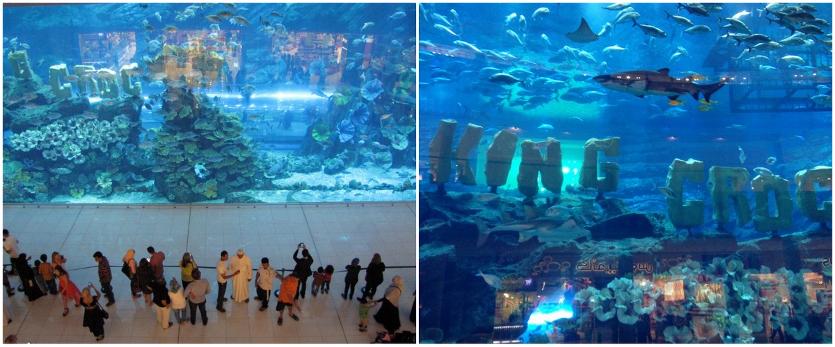 Dubai Aquarium: Comment visiter?, + Conseils