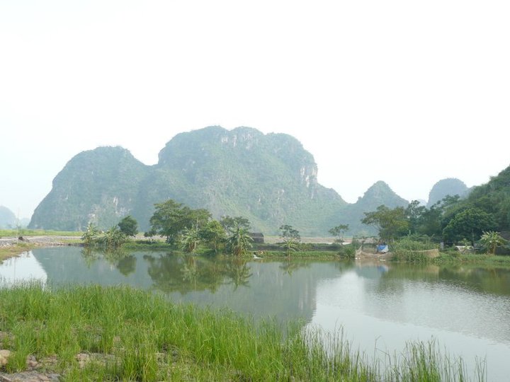 Rizières et pics karstiques à Ninh Binh