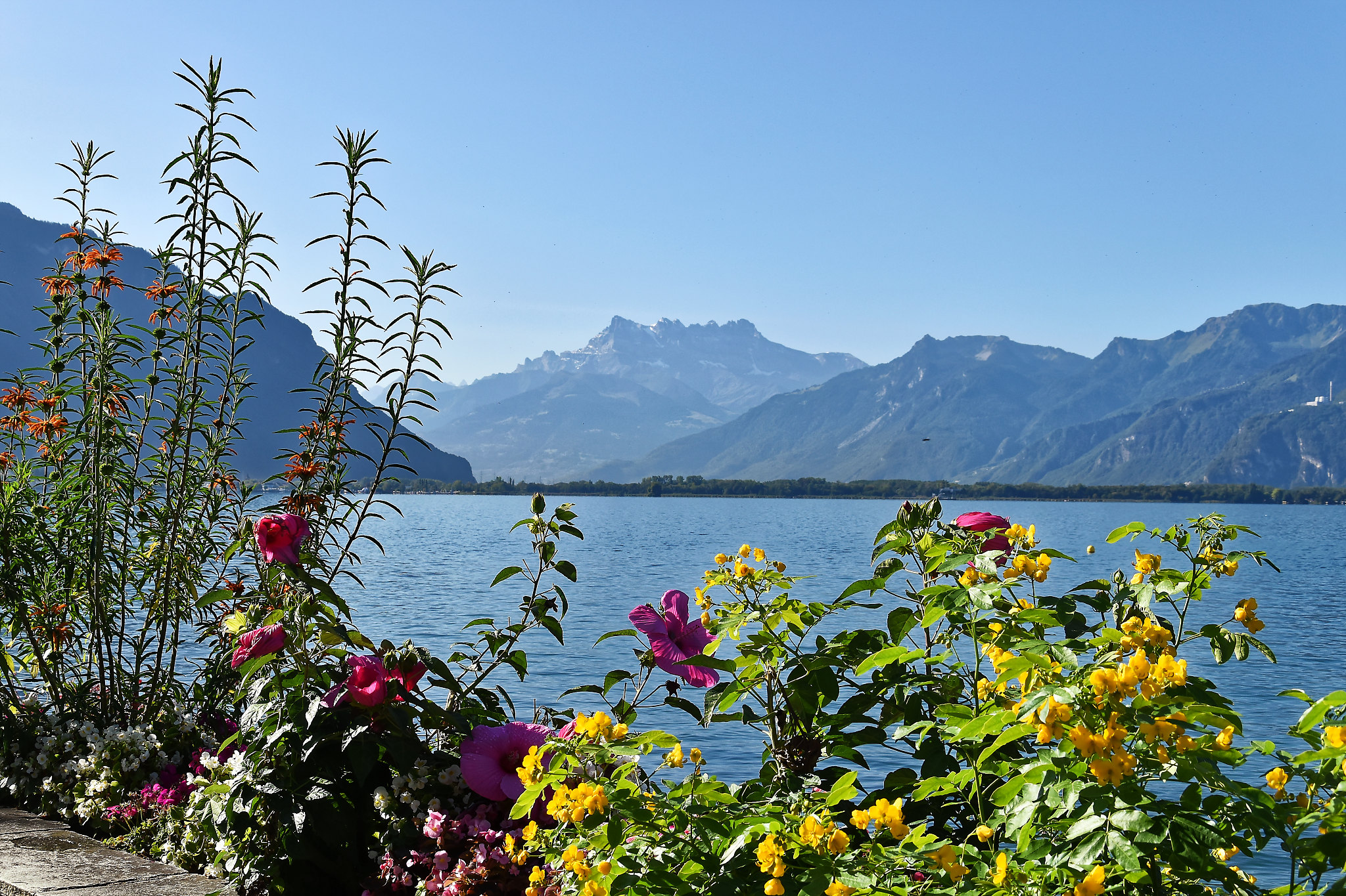 lac leman suisse
