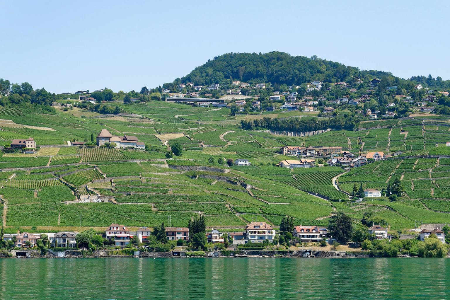 6 bonnes raisons de visiter Lausanne, du Musée Olympique aux vignes de ...